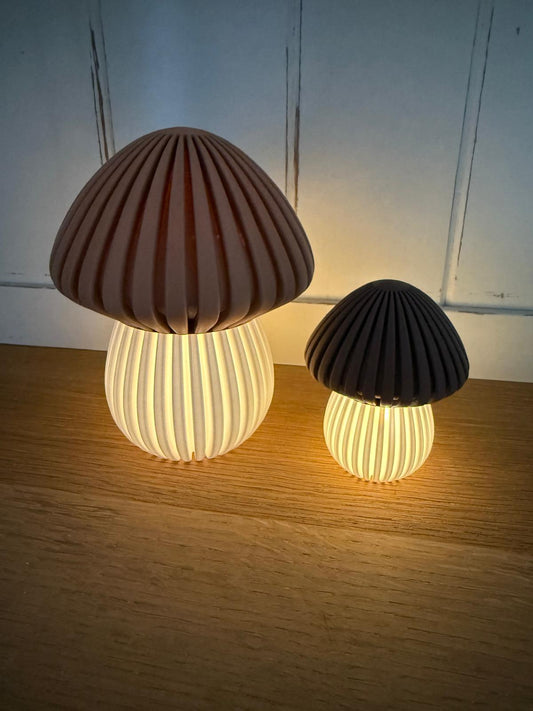 Licht Pilze Set