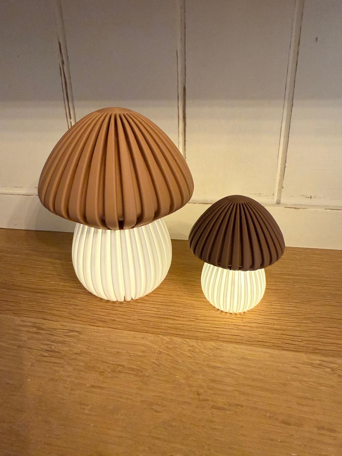 Licht Pilze Set